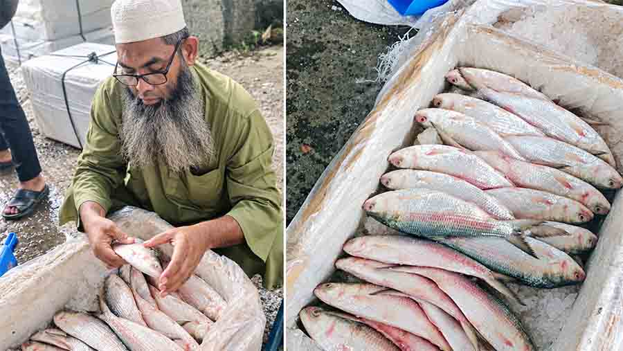 ইলিশের দেশে ভারত থেকে এলো সাড়ে ৩ লাখ কেজি ইলিশ!