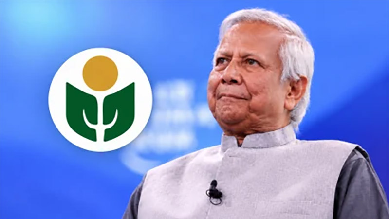ইউনূস-তারেক গোপন সমঝোতা? হঠাৎ ইউনূসের ৬৬৬ কোটি টাকা কর আদায়ের নির্দেশ স্থগিত